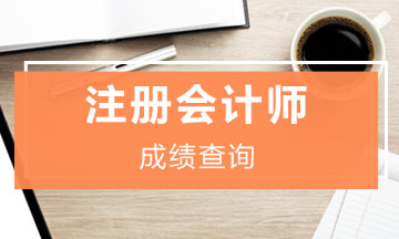 云南2019年注册会计师官网成绩查询入口开通了