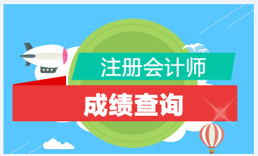 青海2019年CPA官网成绩查询时间公布了吗？