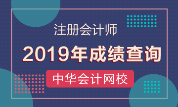 广东2019年cpa成绩查询