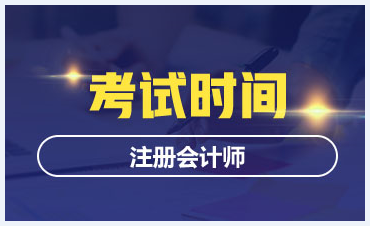 天津CPA2020年专业阶段考试时间