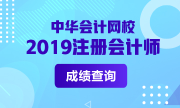 山西2019年CPA官网成绩查询时间公布了吗？