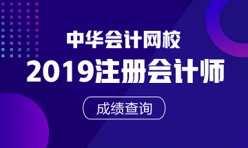 注会专业阶段广西北海成绩查询