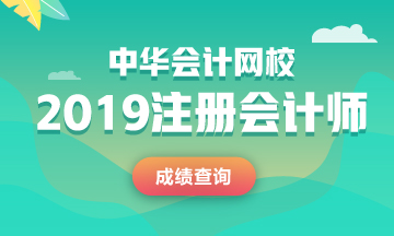 河南2019年cpa成绩查询入口