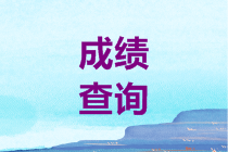 初级经济师成绩查询