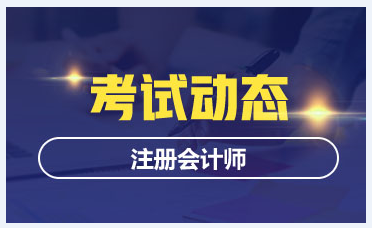 河北CPA2020年专业阶段考试时间