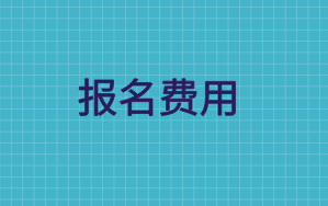 2020中级审计师报名费用