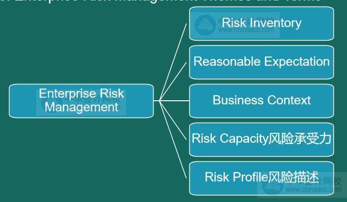 AICPA知识点：企业风险管理Themes and Terms
