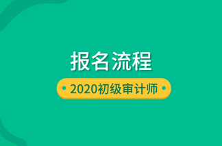 2020初级审计师报名流程