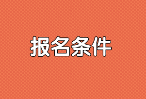 2020审计师报名条件