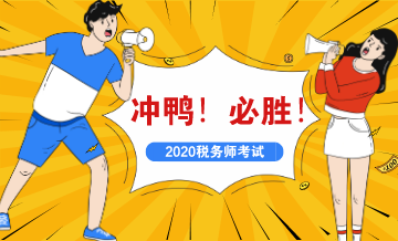 2020税务师考试