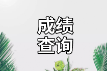 资产评估师考试成绩查询