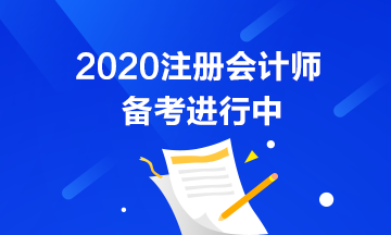 初级考试推迟了 注会也会推迟吗？