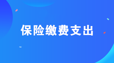 保险缴费支出的个人所得税与企业所得税如何处理？