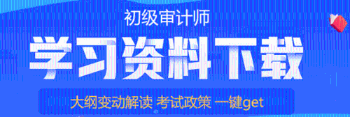 初级审计师学习资料