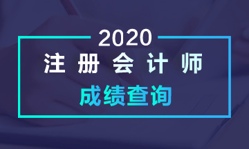 成都2020注会考试成绩查询时间