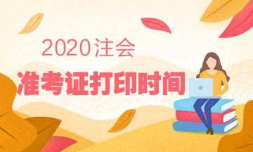 2020年cpa准考证打印时间