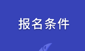 2020审计师报名条件