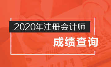 广西2020年cpa考试成绩查询时间