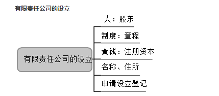 王菲菲37分钟讲解有限责任公司知识点！