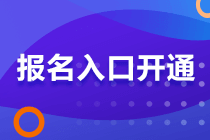 2020年审计师考试报名入口