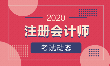 广东cpa2020年考试时间