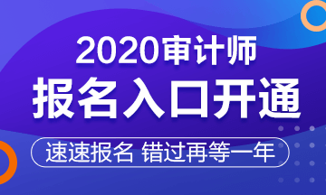 审计报名入口