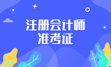 武汉2020cpa准考证打印时间