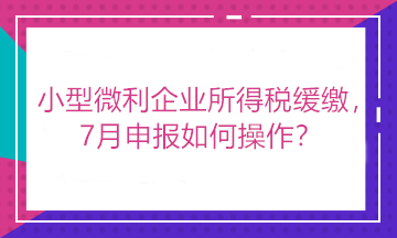 小型微利企业所得税缓缴，7月申报如何操作？看这里！