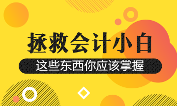 财务人想要升职！这几个平台一定要知道~抬走！