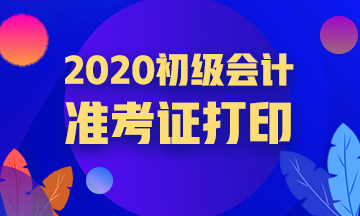 2020初级会计准考证