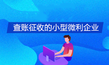 查账征收的小型微利企业如何享受所得税缓缴政策？怎么填报申报表？