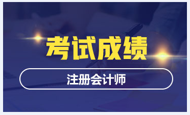 海南2020CPA成绩查询时间