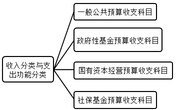 2020年高会《高级会计实务》知识点：政府收支分类