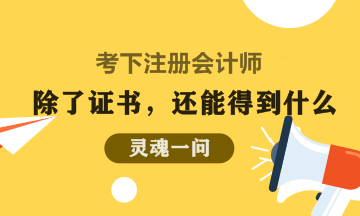 考下CPA除了能带来一张纸 还有什么？