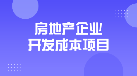 房地产企业开发成本项目