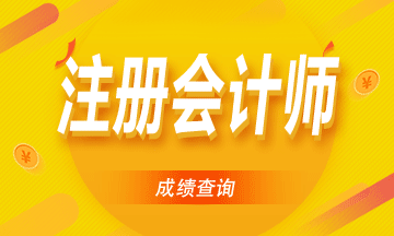 内蒙古2020CPA成绩查询时间定了吗？