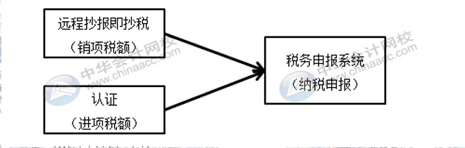 每月征期该怎么抄报呢？步骤来了~