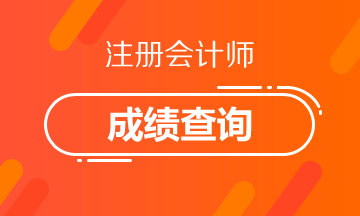 辽宁2020年注册会计师考试成绩查询你了解吗！