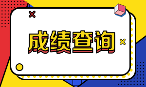 2020年CPA什么时候可以查成绩？