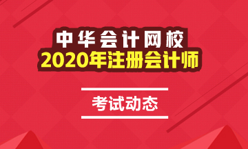 2020年郑州cpa考试时间