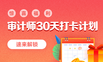 审计师30天打卡