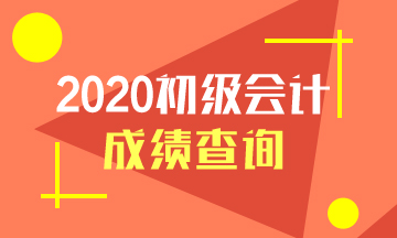 四川2020初级会计考试成绩查询入口在哪里