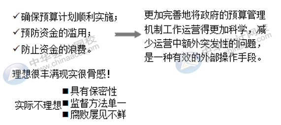 会计师事务所在政府预算绩效评价中有什么作用？