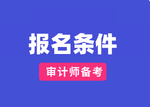 山东2020国际审计师报考条件及时间？