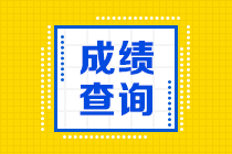 湖南2020年高级经济师成绩查询时间及查询网址