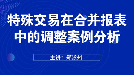 特殊交易在合并报表中的调整案例分析 (1)