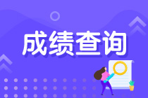 资产评估师成绩查询