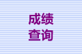 山东淄博2020年中级会计师考试成绩查询