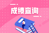 税务师成绩查询