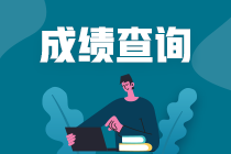 税务师成绩查询